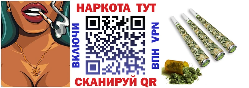 Где купить наркотики Губаха Гашиш  Псилоцибиновые грибы  Мефедрон  Канабис  МЕТАДОН  КОКАИН 