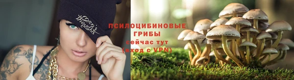 марки lsd Баксан