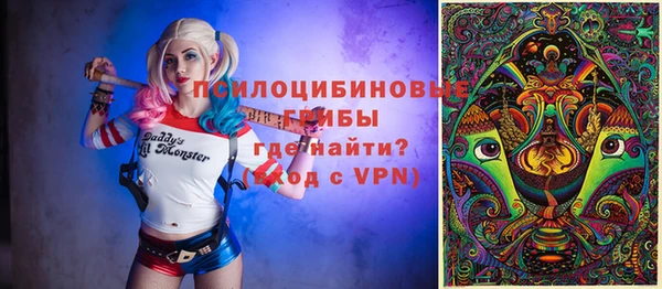 шишки Балабаново