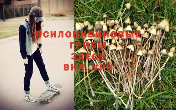 марки lsd Баксан