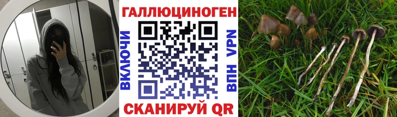 магазин продажи наркотиков  KRAKEN ссылки  даркнет клад  Губаха  Галлюциногенные грибы мухоморы 